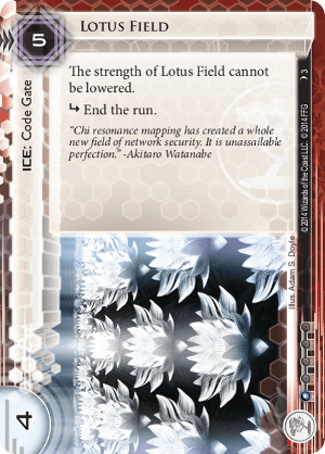 Lotus Field 